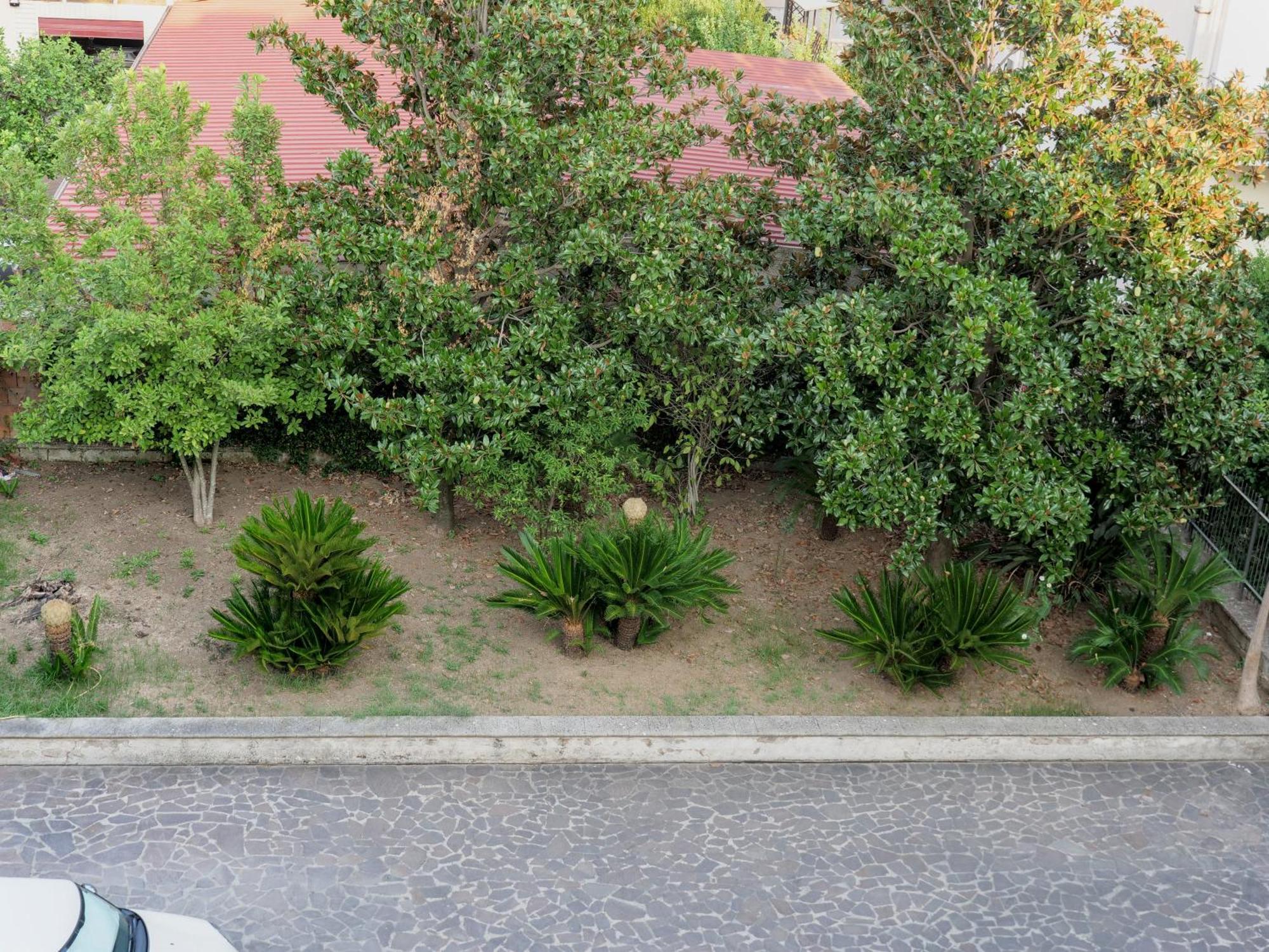Vagabondo Apartment San Nicola La Strada Buitenkant foto
